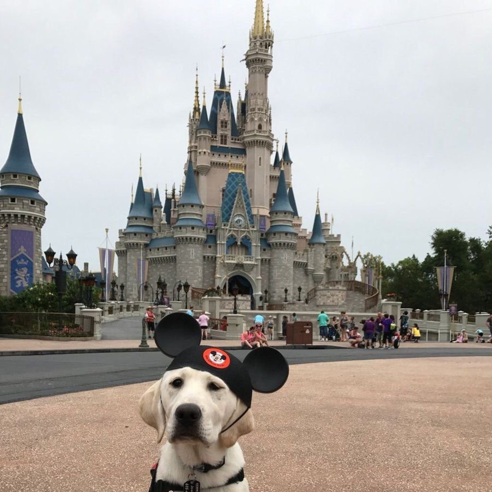 Meet your Posher, Nancy